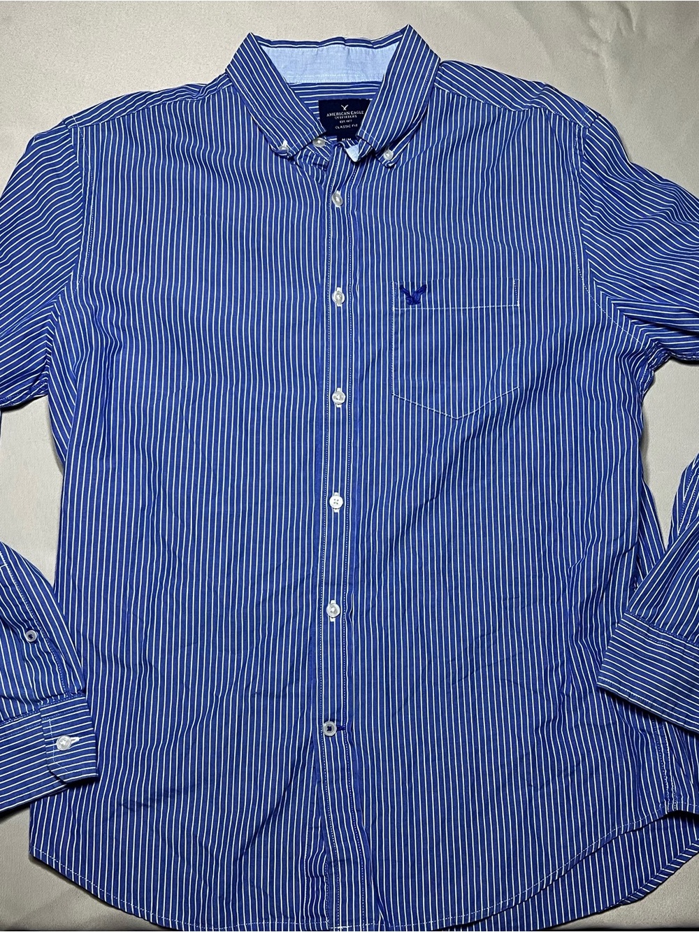 American Eagle Outfitters Blue and White Pinstripe Button-Down Shirt